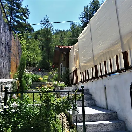 Saripinar 1 Islamlar (Mediterranean)